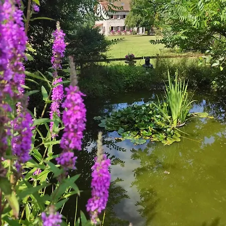 La Roulotte Du Parc Homestay